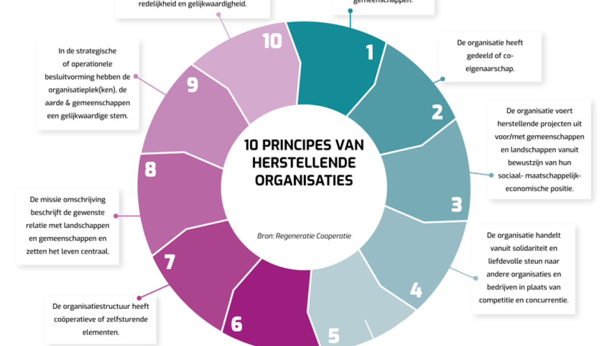 De kracht van regeneratieve organisaties voorbij duurzaamheid, met nieuw perspectief